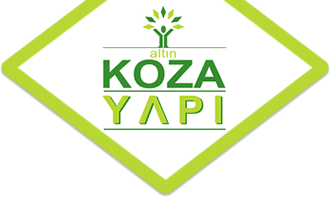 Altın Koza Yapı & Konut